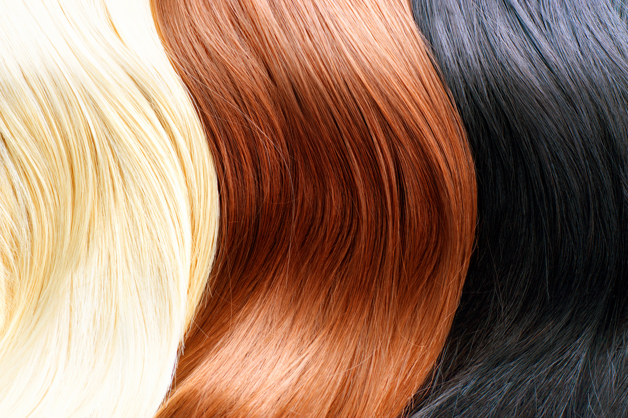 Hair Colors Palette. Blonde, Brown and Black Hair Colours